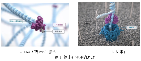 微信图片_20240816093646.png